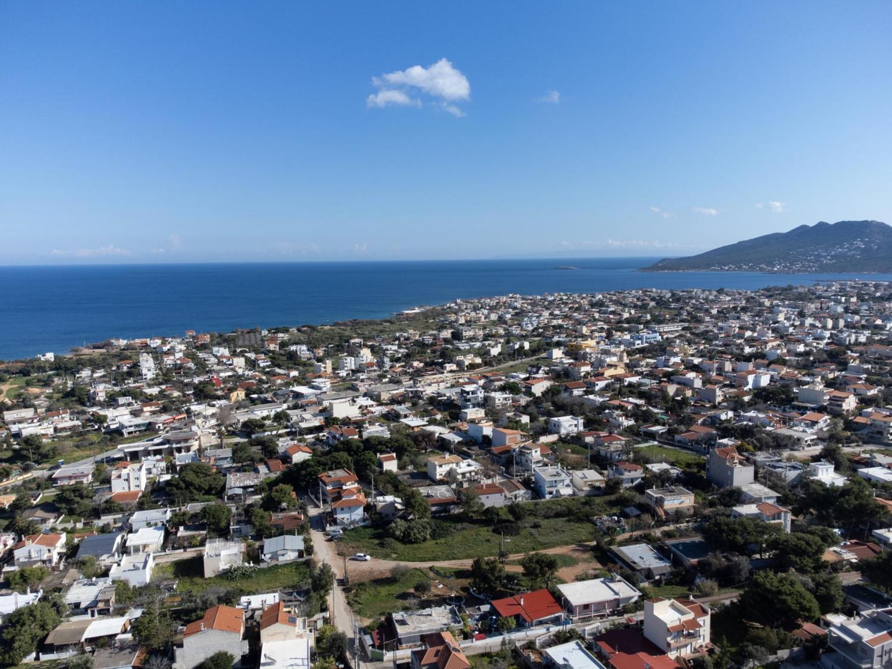 Galina'S Greek House Villa อาร์เตมีดา ภายนอก รูปภาพ